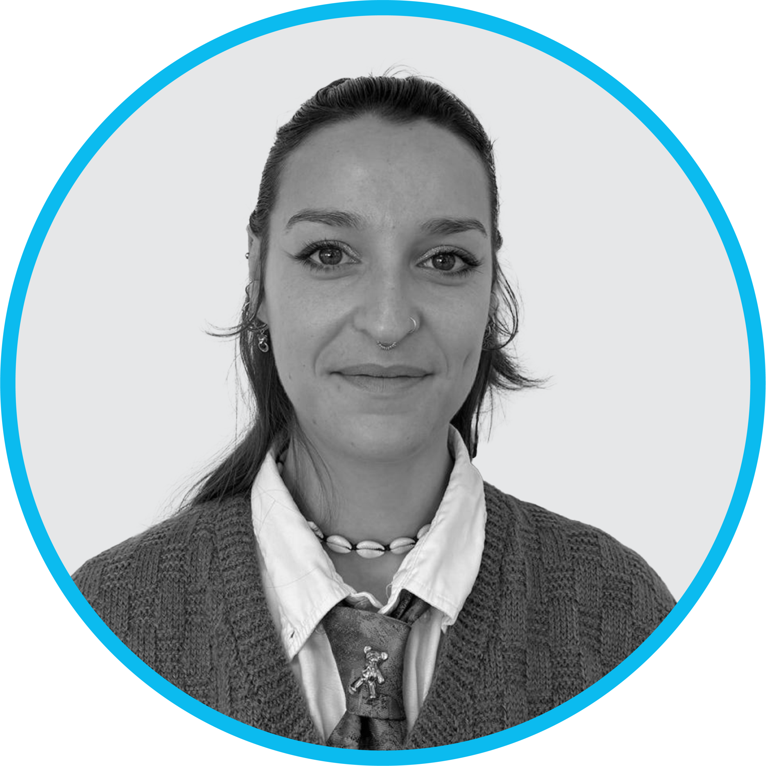 Installateur expert en pose VELUX – Languedoc-Roussillon